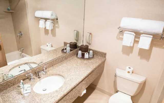 Ann Arbor Regent Hotel & Suites