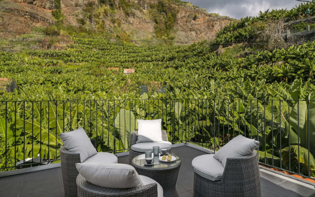 Oscar's House by An Island Apart