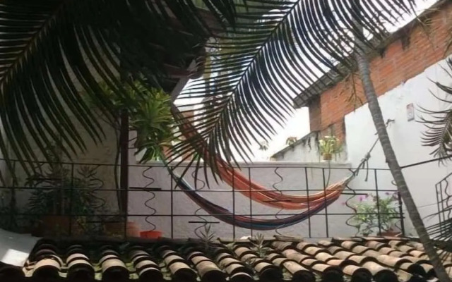 Palm Tree Hostal Medellin Colombia