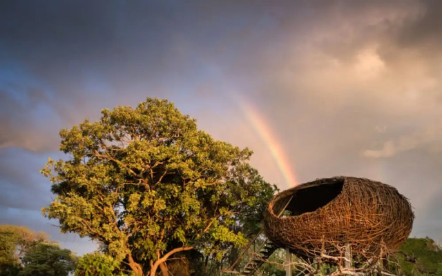 Chisa Busanga Camp