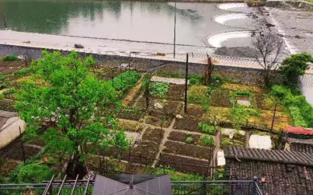 Xingxingyu Qixi Flower Garden