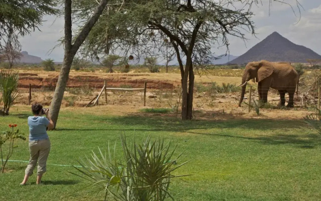 Samburu Lodge