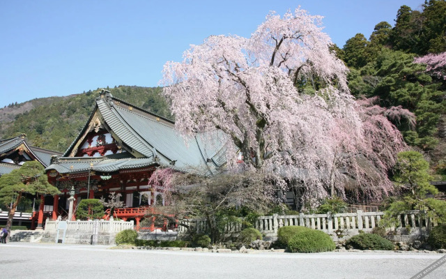 Temple Hotel Habanobo