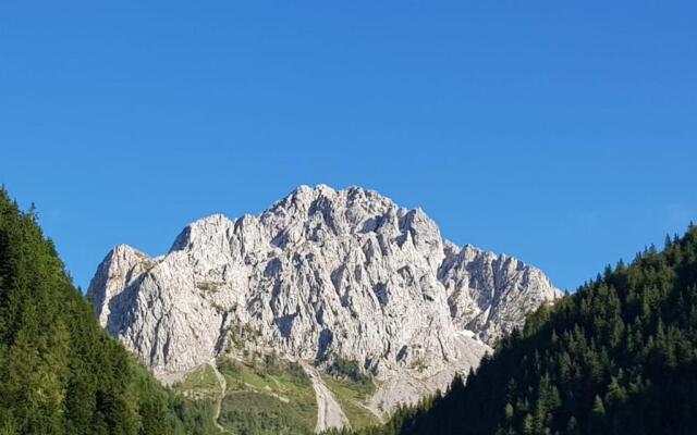 Stella alpina