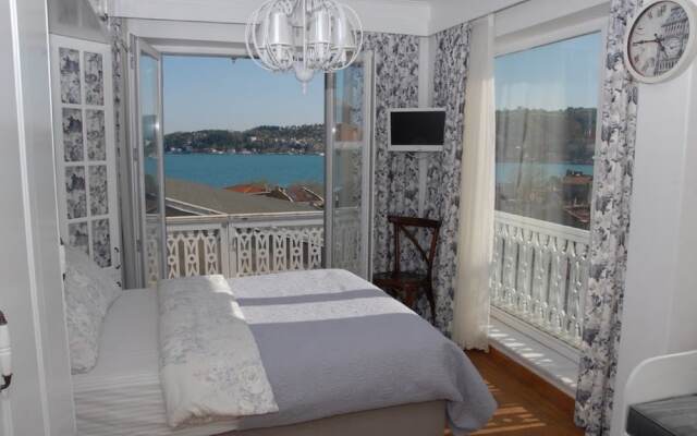 Dzg House