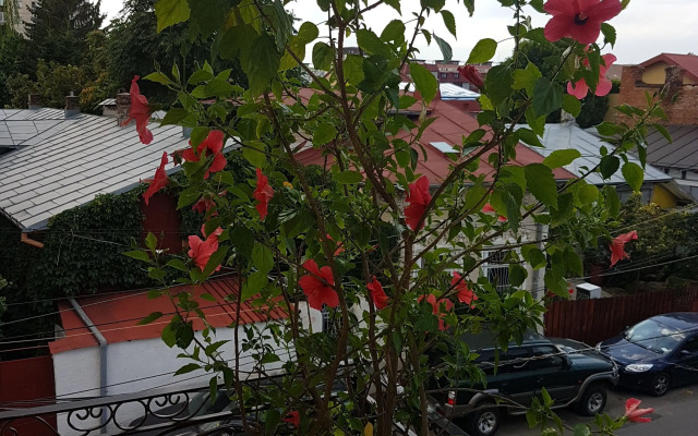 Bucharest Boutique Accommodation