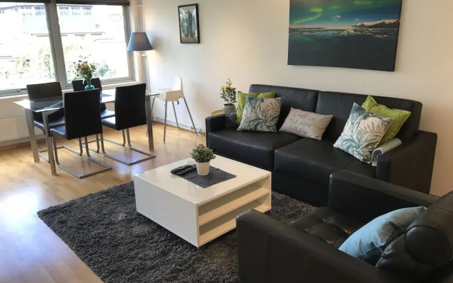 Sentral 3 roms top leilighet med gratis parkering