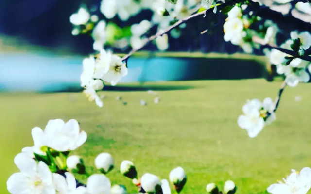 Woolshed Hill Estate