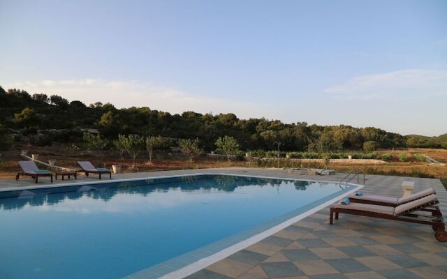 Wild Fig Retreat