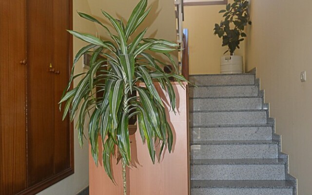 Apartamentos Baltar