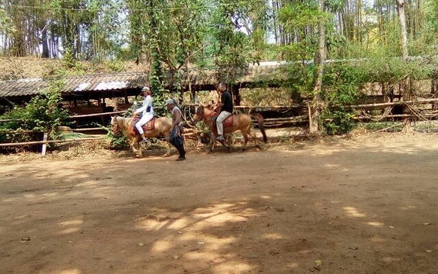 Phu Chaisai Chiang Rai Mountain Resort