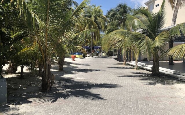 Immaculate 1-bed Apartment on Ocean View