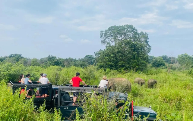 Suriya cottage Habarana