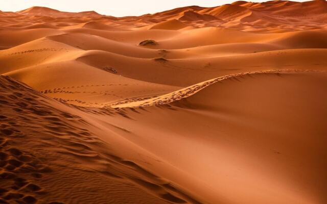 Paradis Touareg