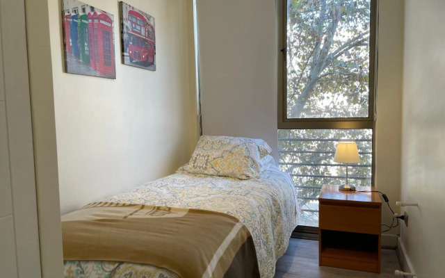 Santiago Lastarria Apartment