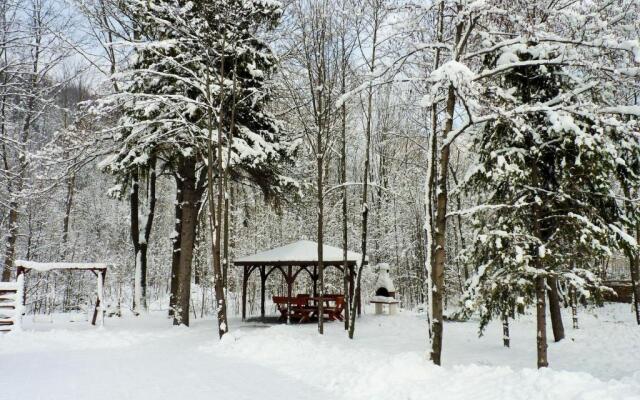 Apartament z liskiem