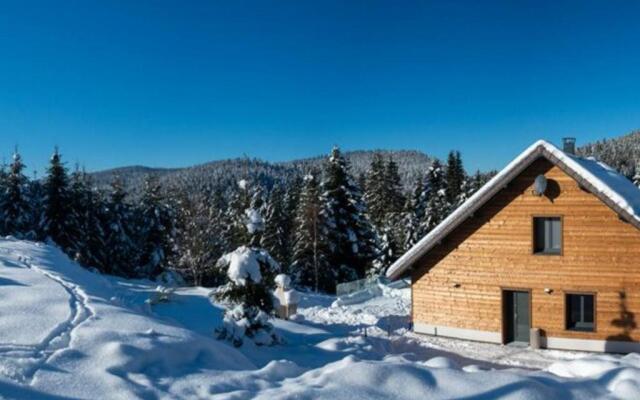 Chalet Ban-sur-Meurthe-Clefcy, 7 pièces, 14 personnes - FR-1-589-366