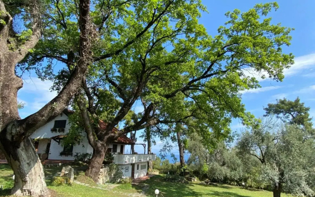 Wild Oaks Cottage
