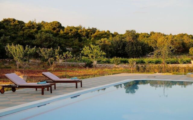 Wild Fig Retreat