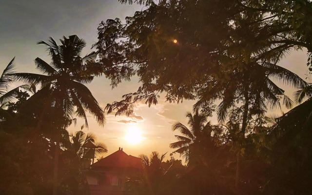 Danaya's Cottage and Studio