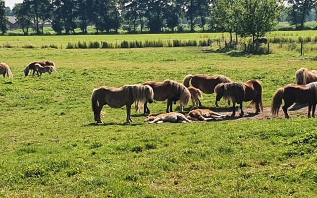 Holiday Home in Overberg With Private Garden and Terrace