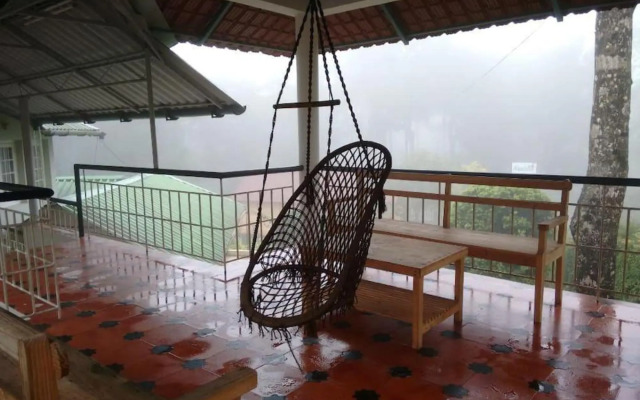 Rainforest Munnar