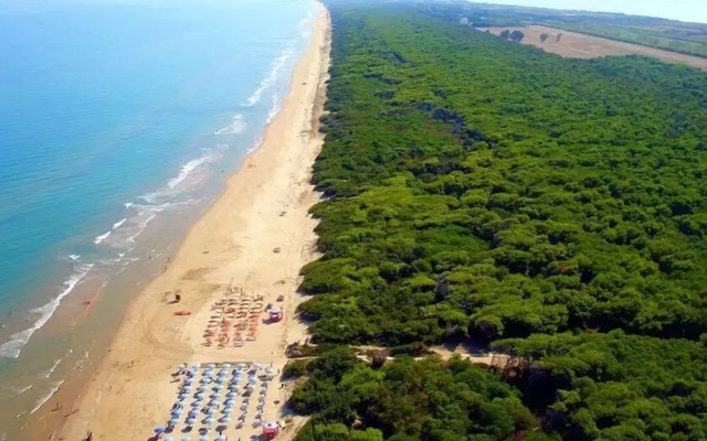 Chalet Viola Beach Village