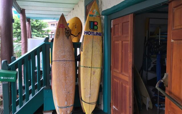 Wild Ginger Inn Hostel