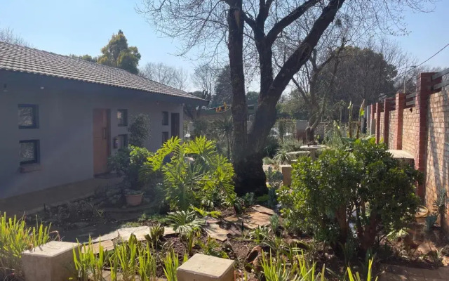 The Chameleon Stay @107
