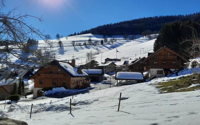 2-Zimmer Ferienwohnung-Einklang im schönen Südschwarzwald