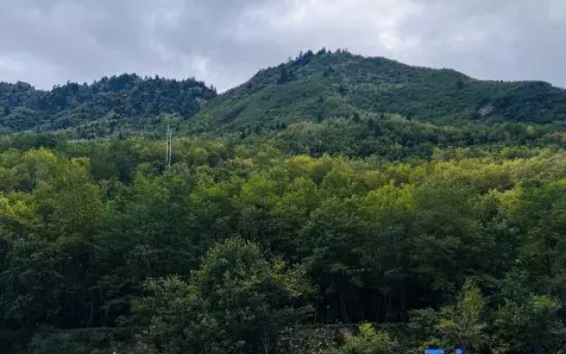 Langji Mizang Hotel