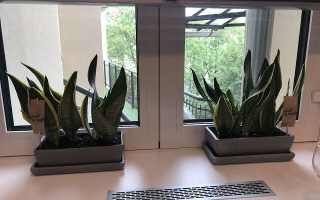 Good Bed - Scooter apartment