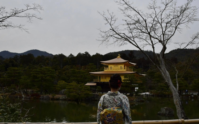 Cozyhouse 310 free E-bike & free portable wifi