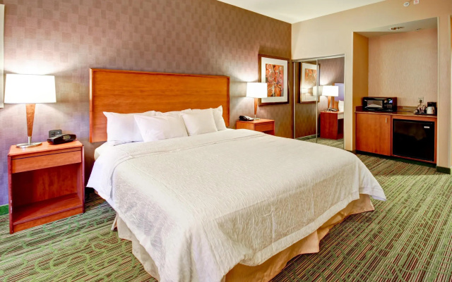 Hampton Inn & Suites Denver-Downtown