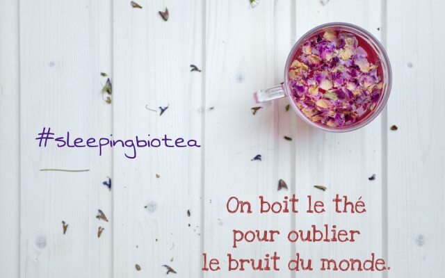 Sleeping Bio Tea - B&B