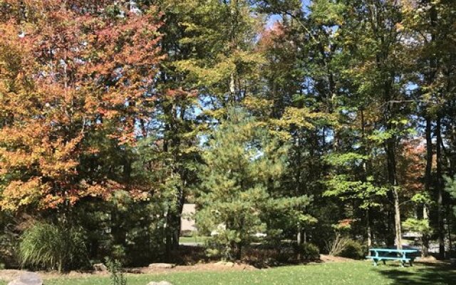 Westwood Villas, Lake Harmony, USA