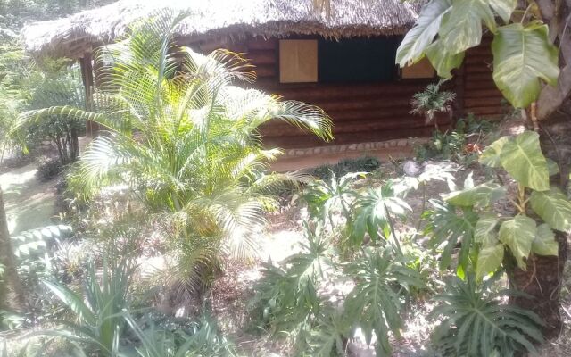 Room in Lodge - Sierraverde Cabin "cabaña el Cedro"