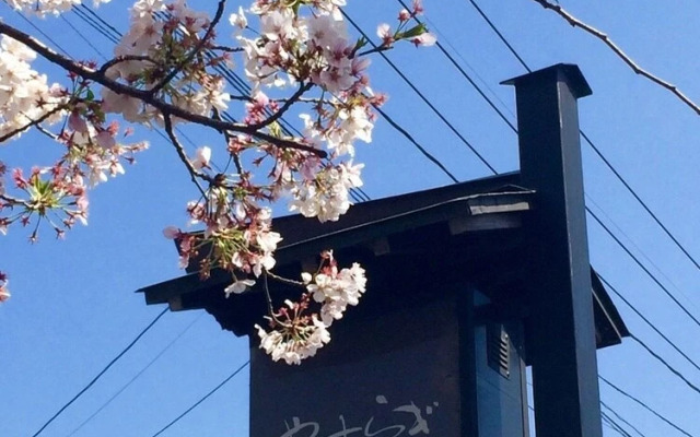 Yasuragi Guest House & Bar