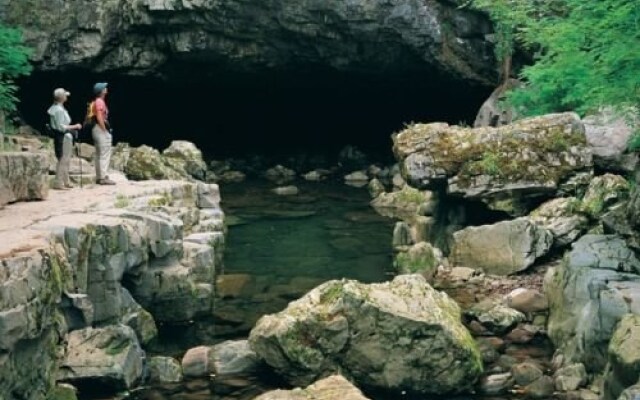 Y Barcud Coch