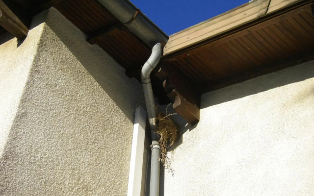 Le Nid de l'Ecureuil