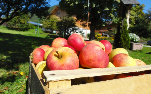 Mair am Graben Farm * Chalets