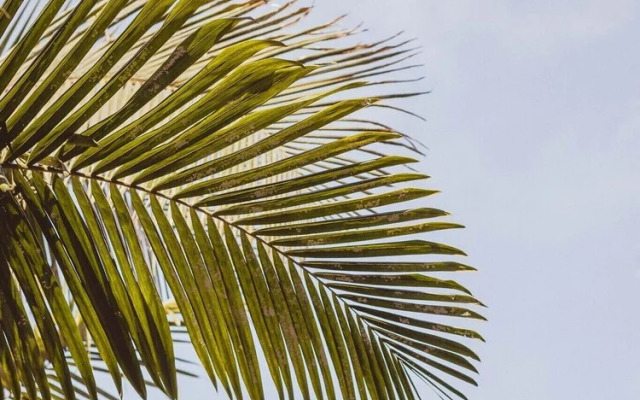 Nautical Loft *Beachfront *Terraces *Parking