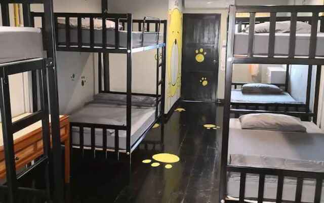 Feel Like Home Dormitory - Hostel