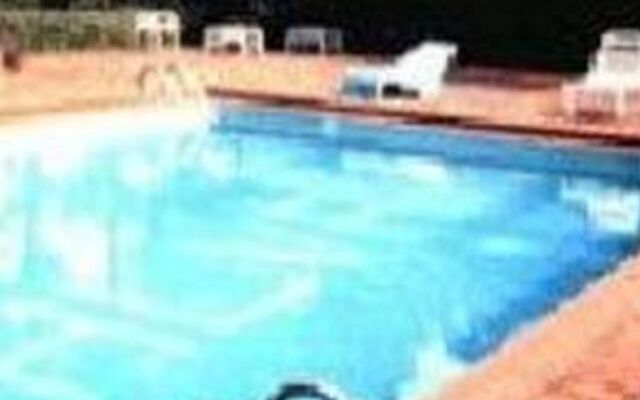 Salvattin Campestre