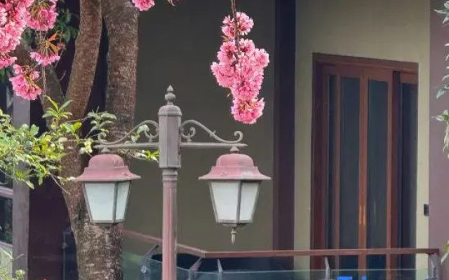 Tianyi Tea Homestay