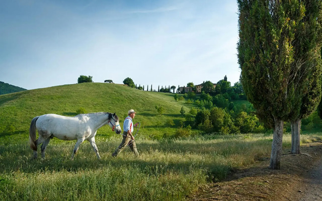 Hotel Castello di Reschio
