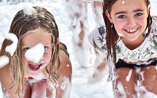 Beautiful Wooden Tree House With Terrace