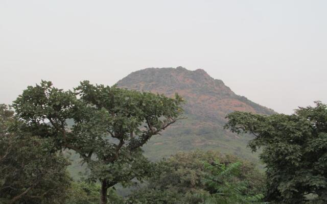 Forest Eco Lodge