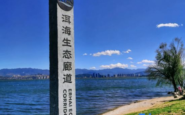 Dali Yuexi Wage Homestay