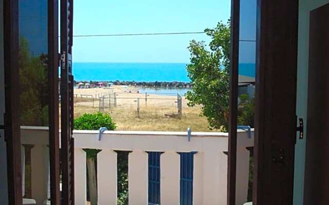 B&B Nettuno